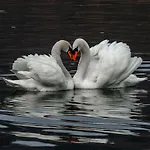 Koledniki Lägenhet *