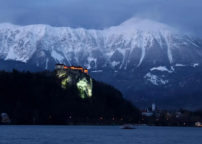 Koledniki アパート *