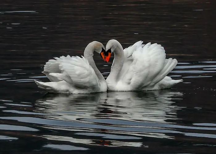 Koledniki アパート *