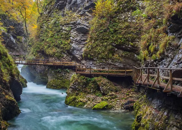 Koledniki アパート ブレッド